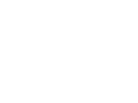 Naoi - Logo
